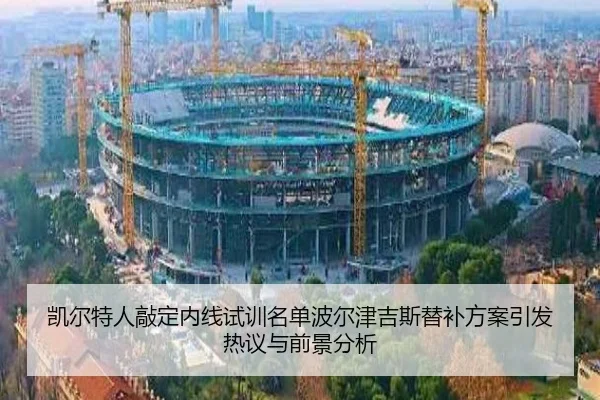 凯尔特人敲定内线试训名单波尔津吉斯替补方案引发热议与前景分析